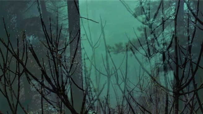 SYNERGIA 22, πρότζεκτ "το δάσος" / project "the forest"